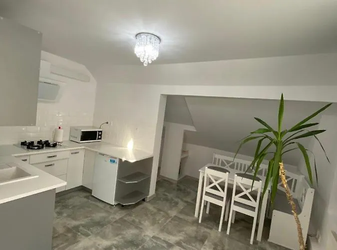 Niebianska Przystan 公寓 乌斯特卡